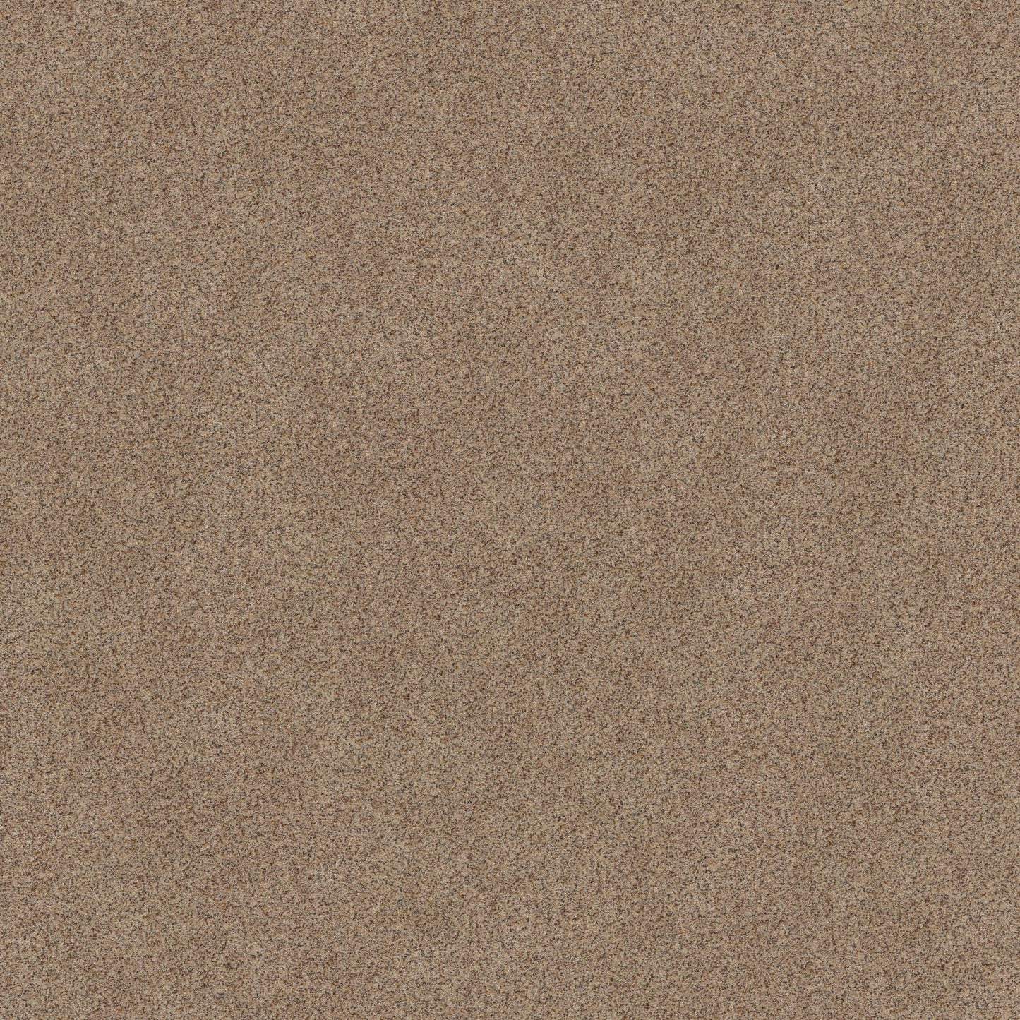 BERBER CUT PILE