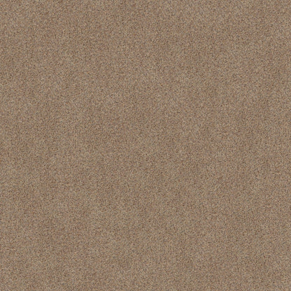BERBER CUT PILE
