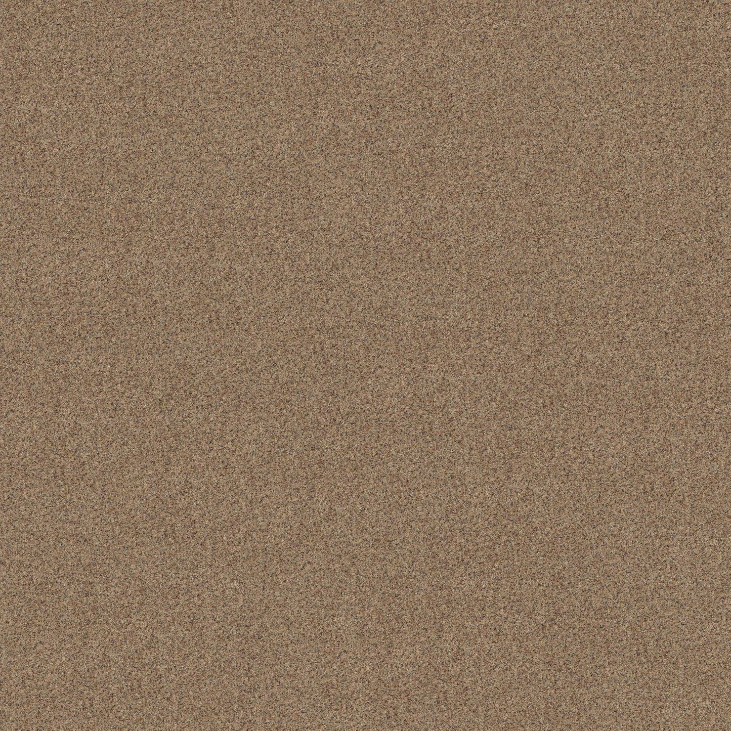BERBER CUT PILE