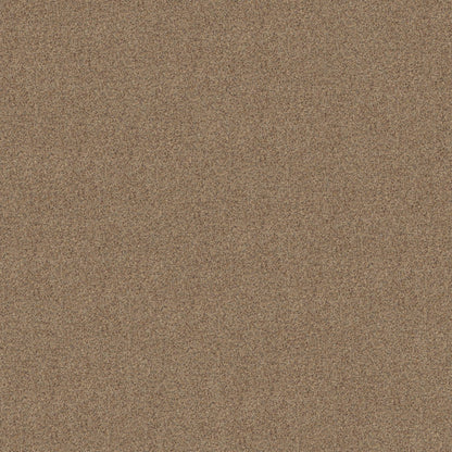BERBER CUT PILE