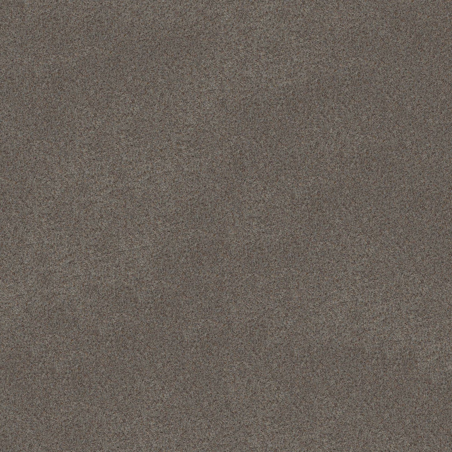 BERBER CUT PILE