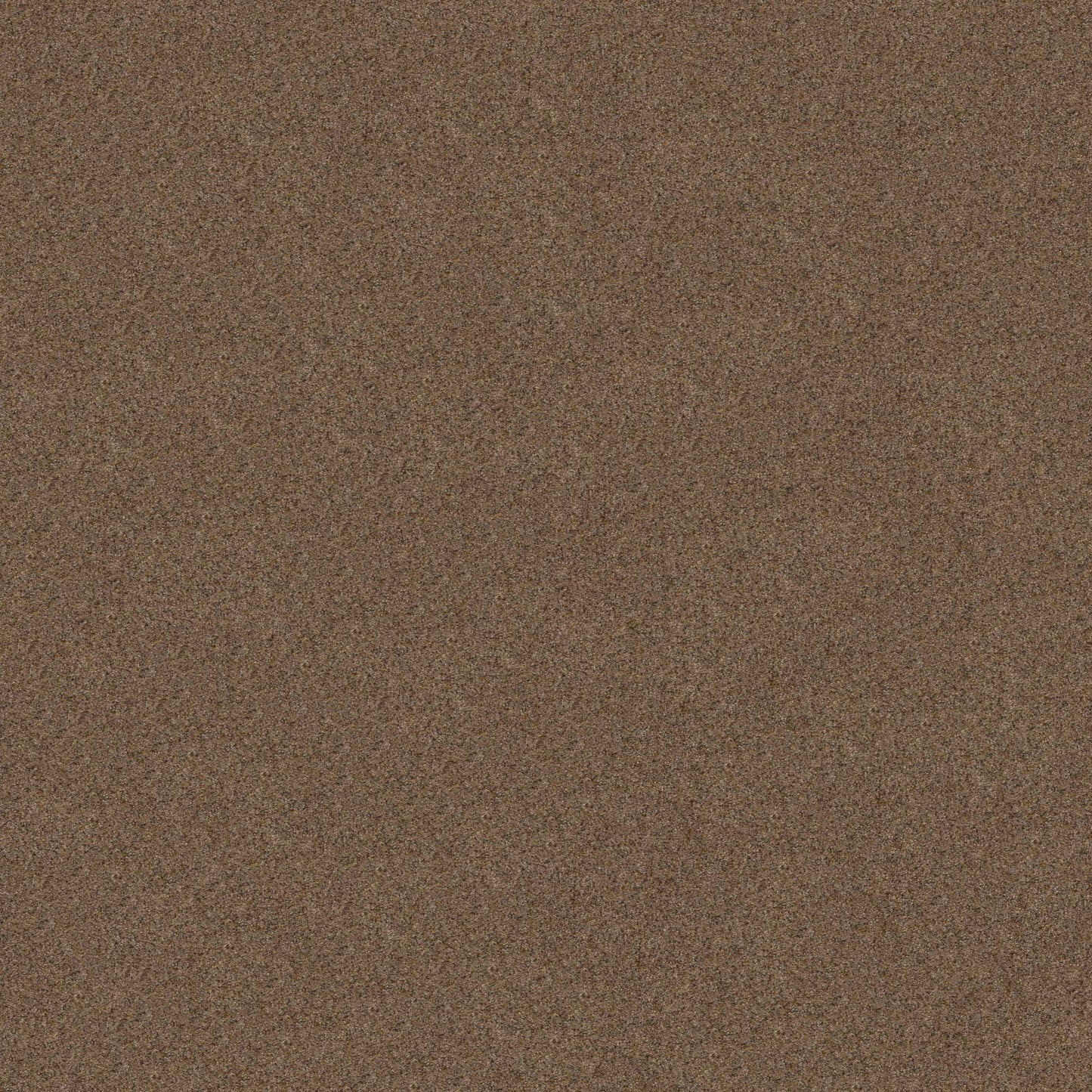 BERBER CUT PILE