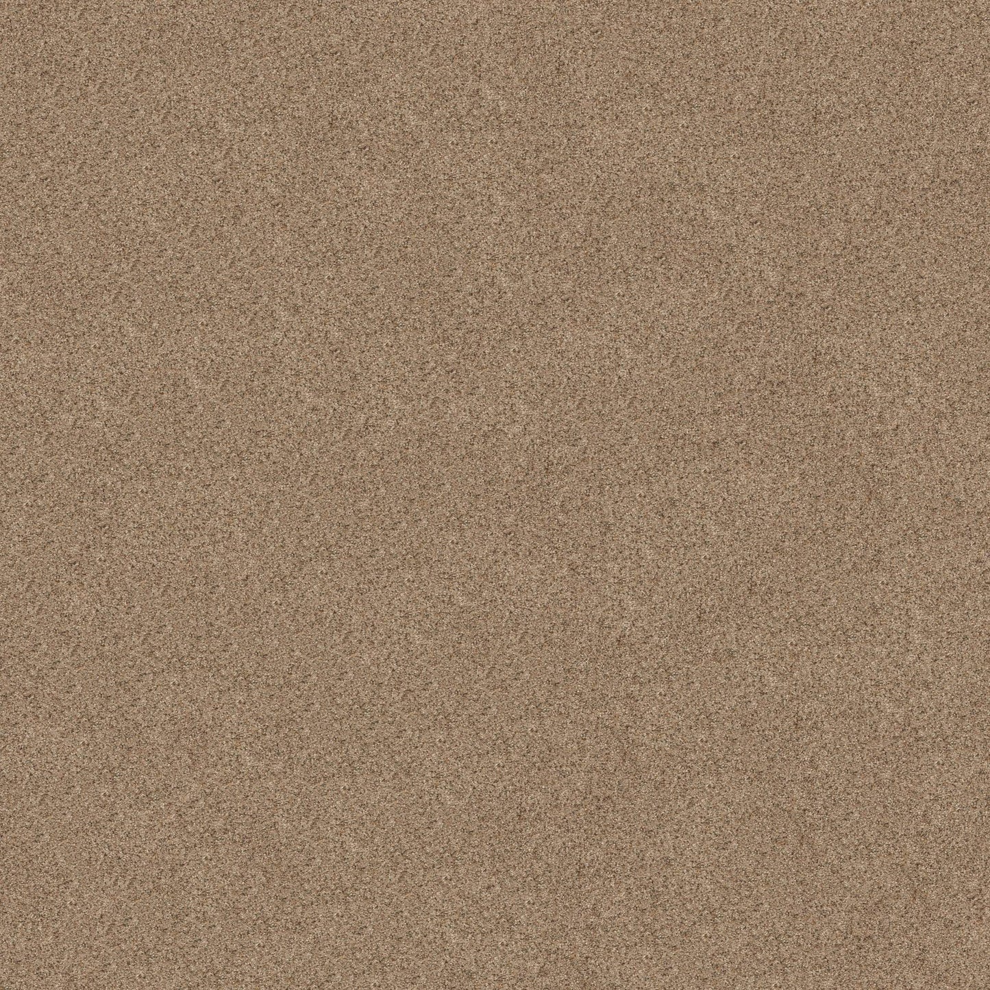 BERBER CUT PILE