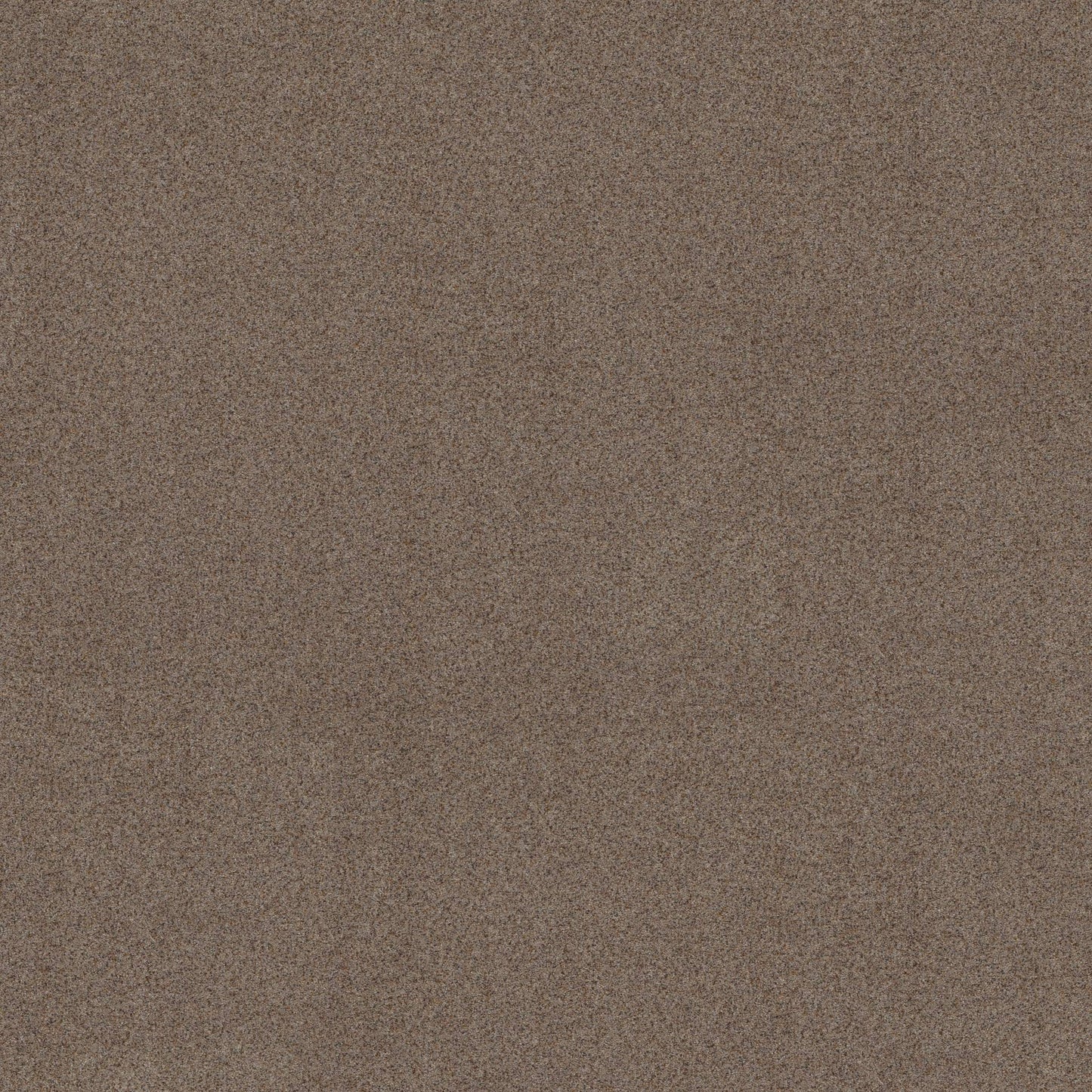 BERBER CUT PILE