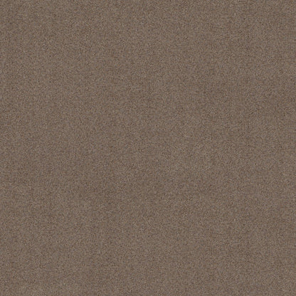 BERBER CUT PILE