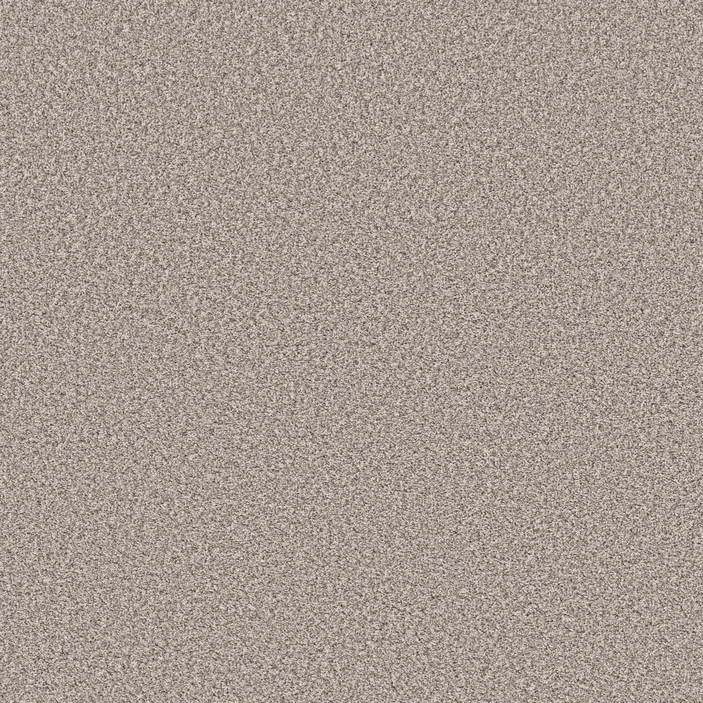 TEXTURE BCF
