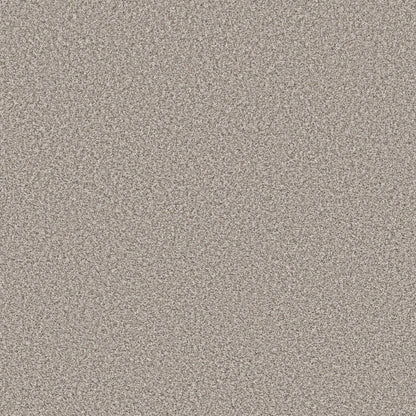 TEXTURE BCF