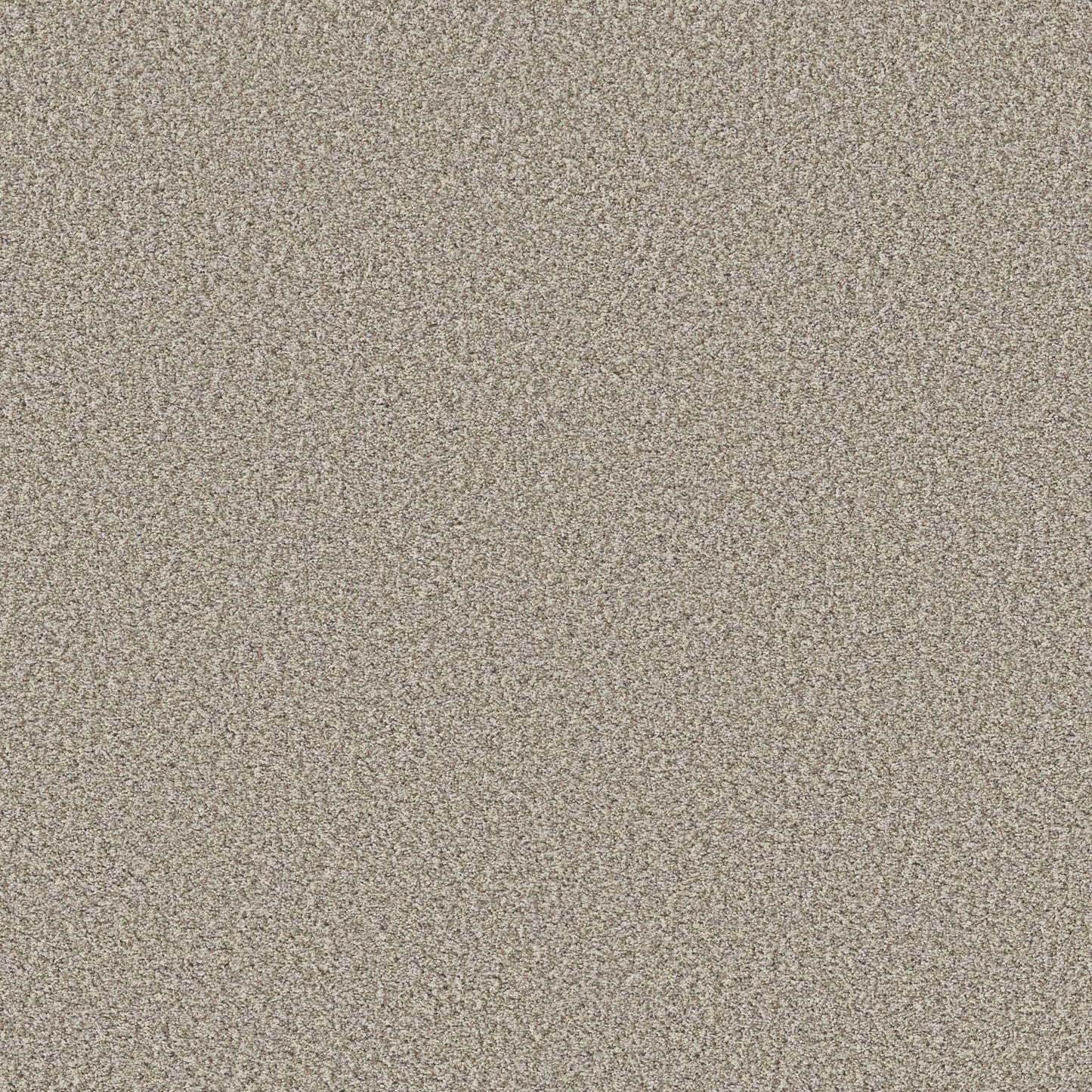 TEXTURE BCF
