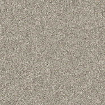 TEXTURE BCF