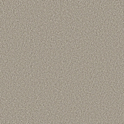 TEXTURE BCF