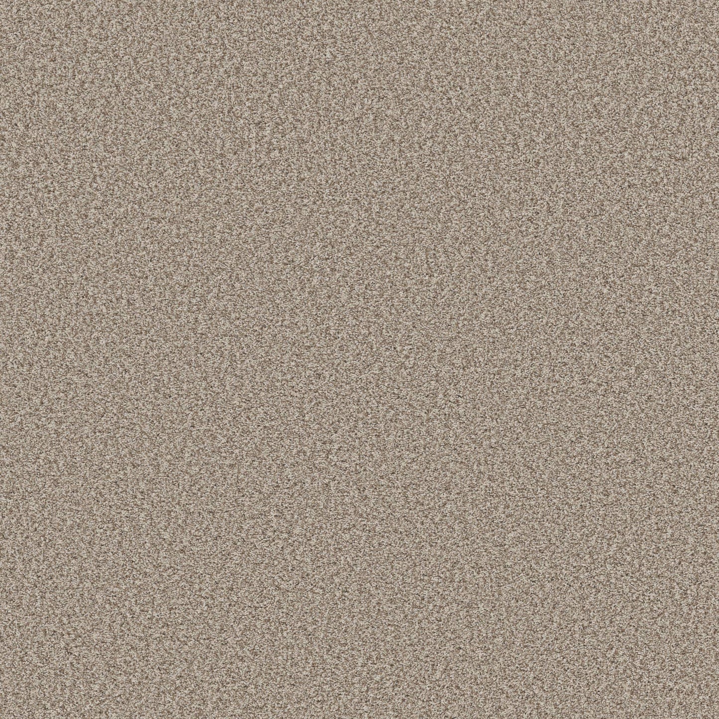 TEXTURE BCF