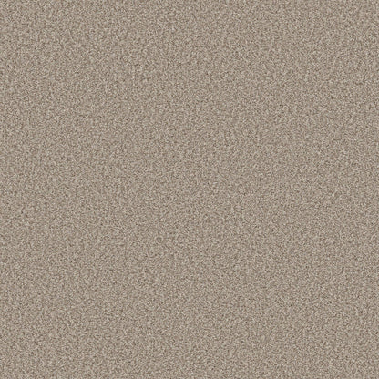 TEXTURE BCF