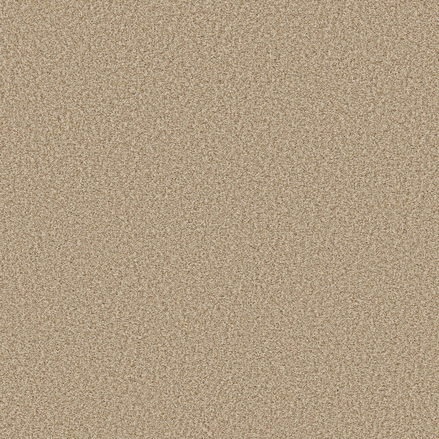 TEXTURE BCF