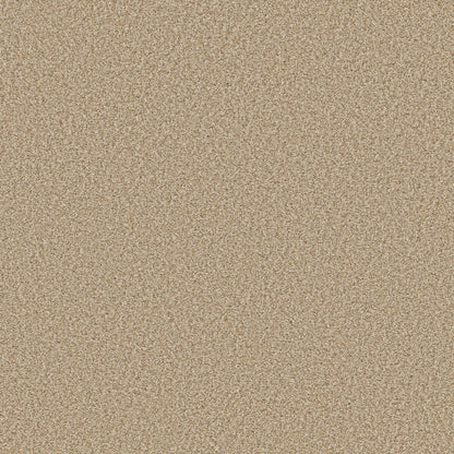 TEXTURE BCF
