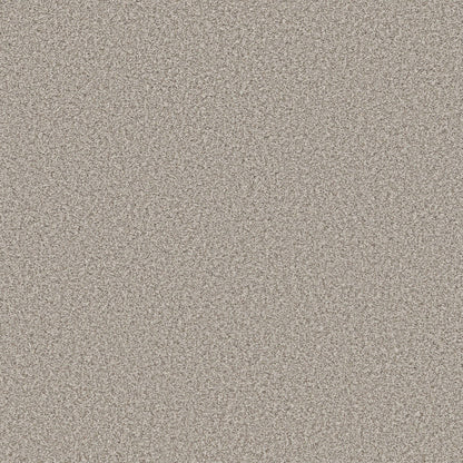 TEXTURE BCF
