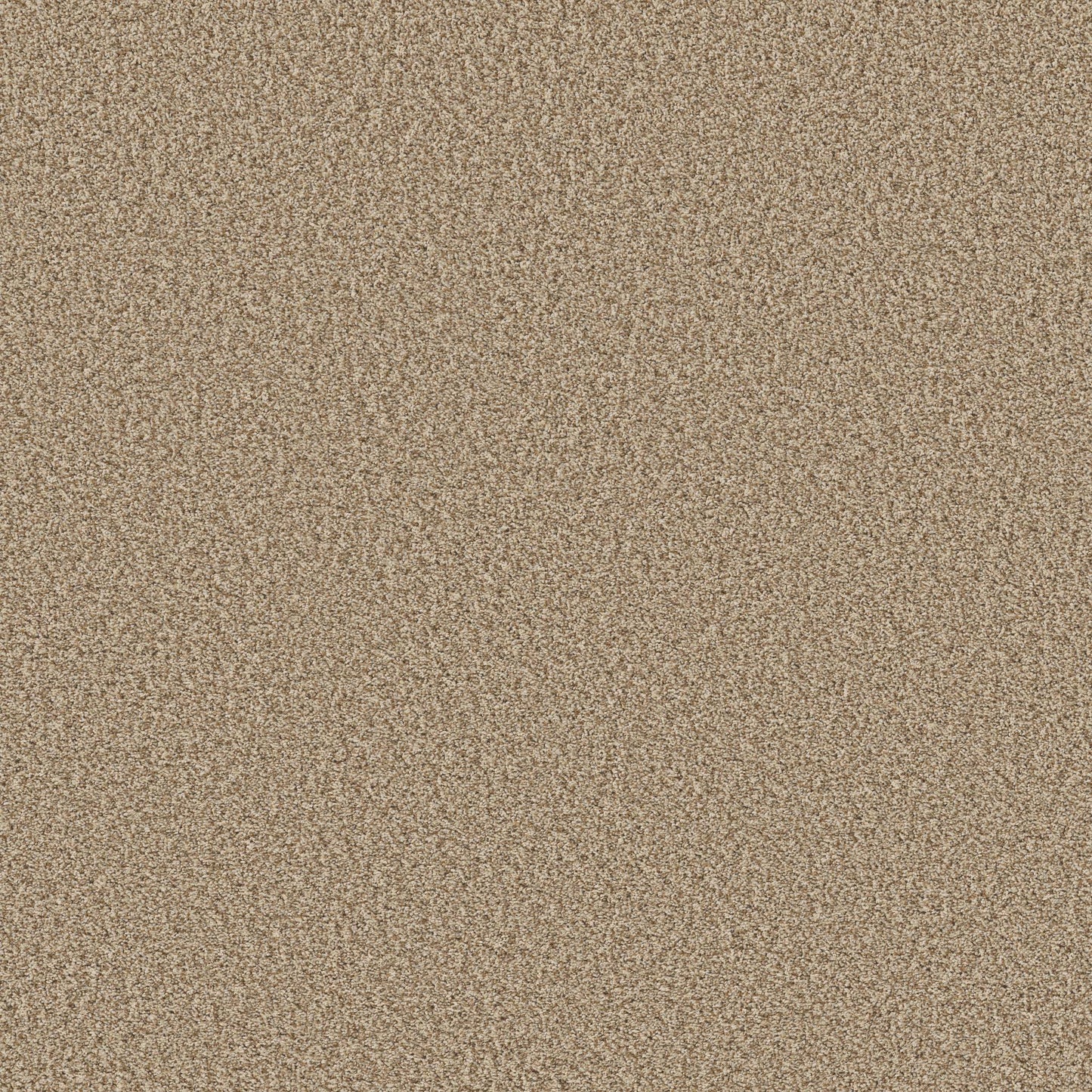 TEXTURE BCF