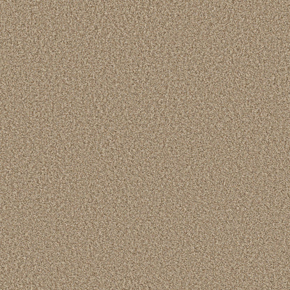 TEXTURE BCF