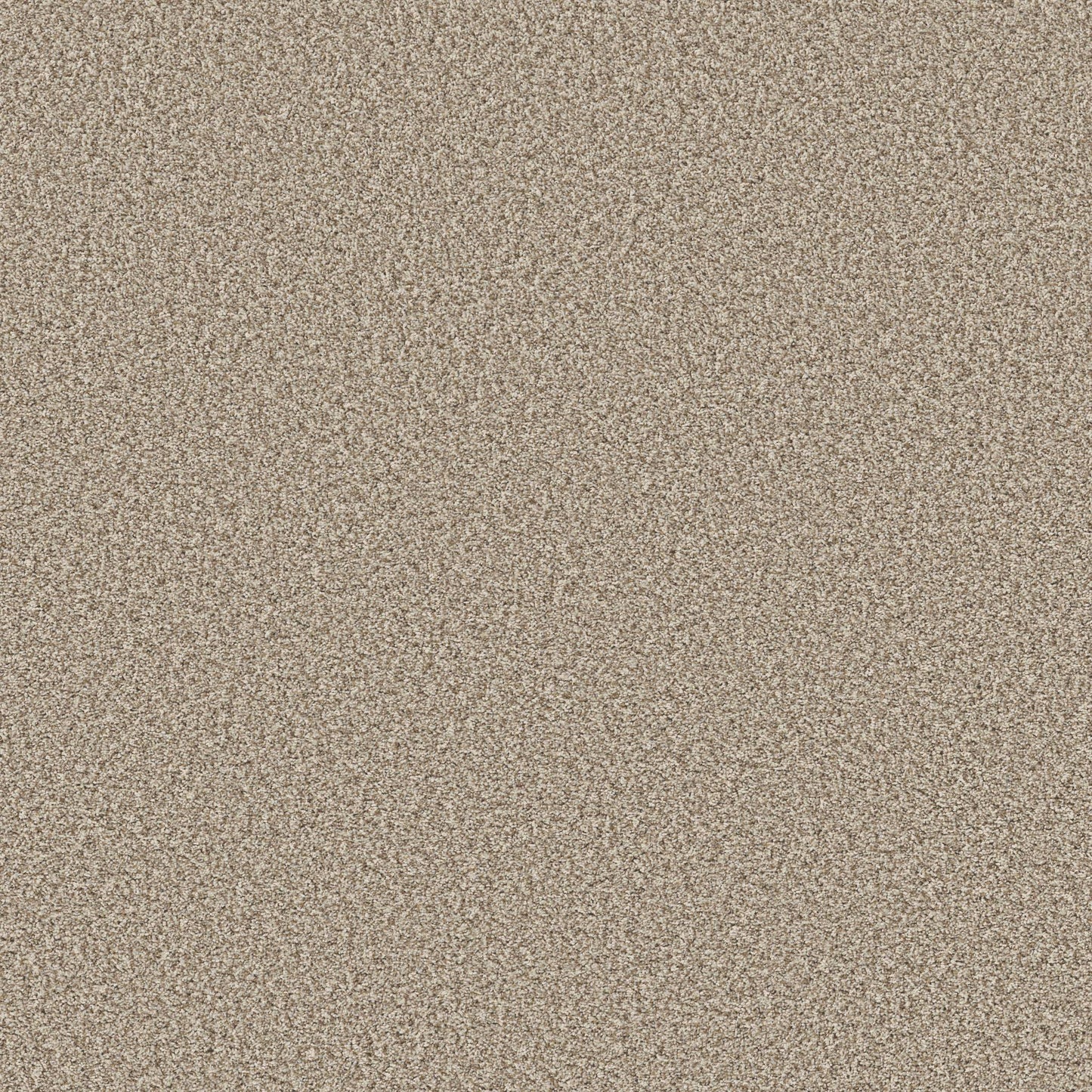 TEXTURE BCF