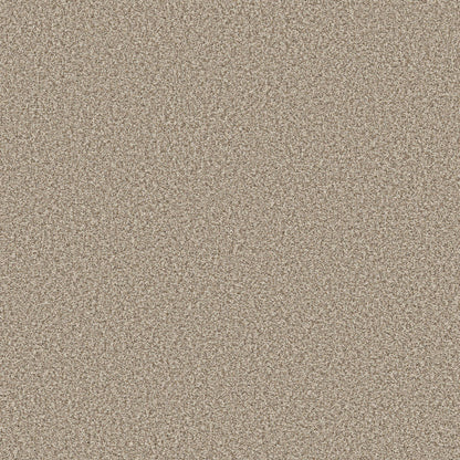 TEXTURE BCF