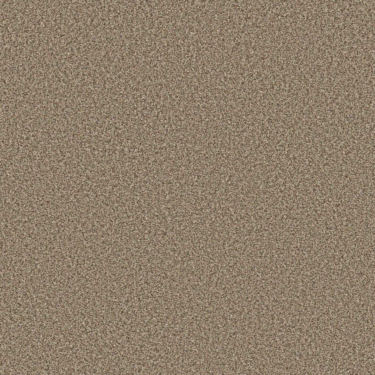 TEXTURE BCF
