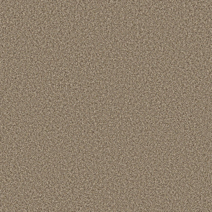 TEXTURE BCF