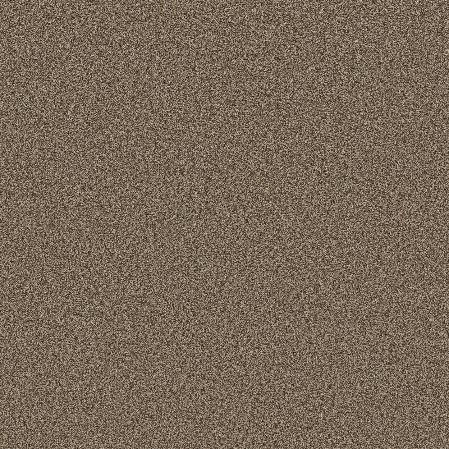 TEXTURE BCF