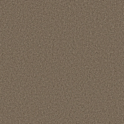 TEXTURE BCF