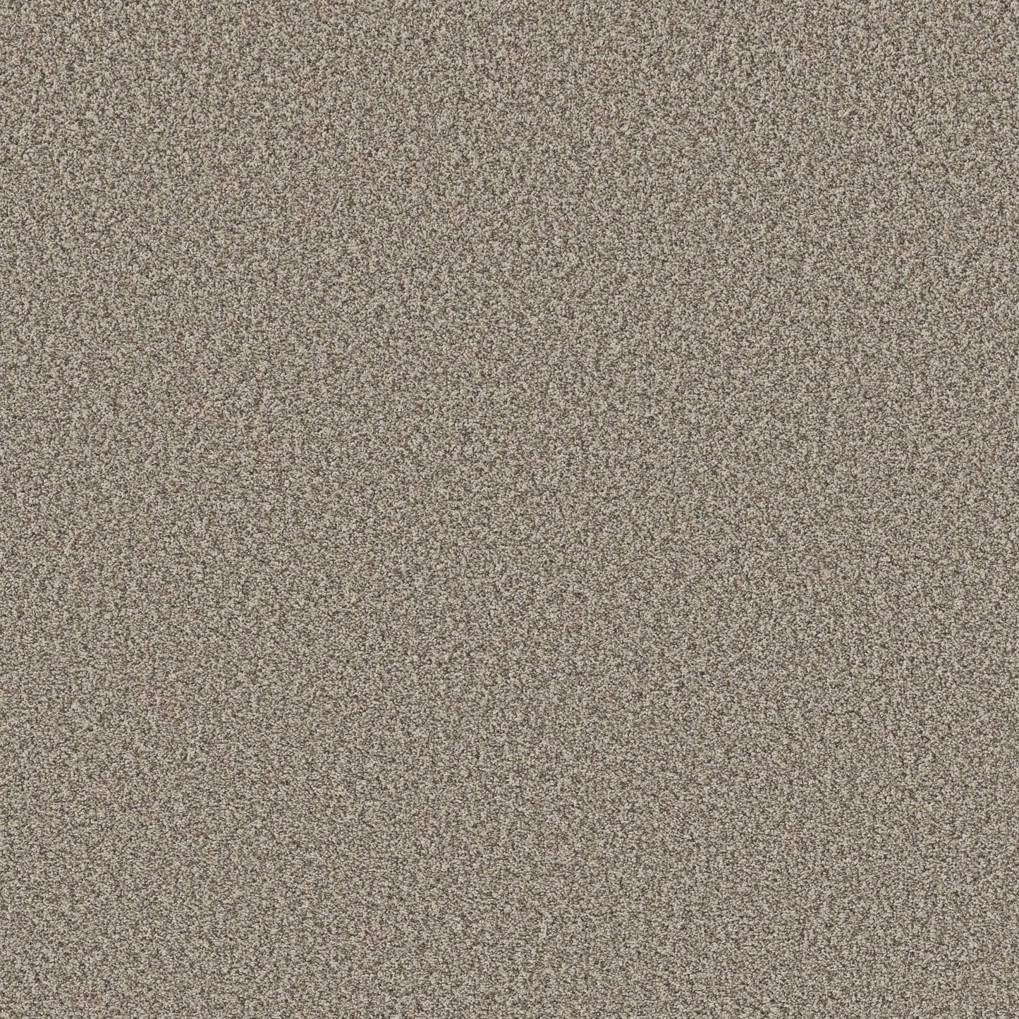 TEXTURE BCF