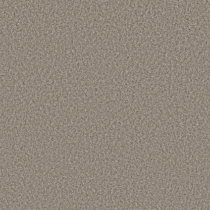 TEXTURE BCF
