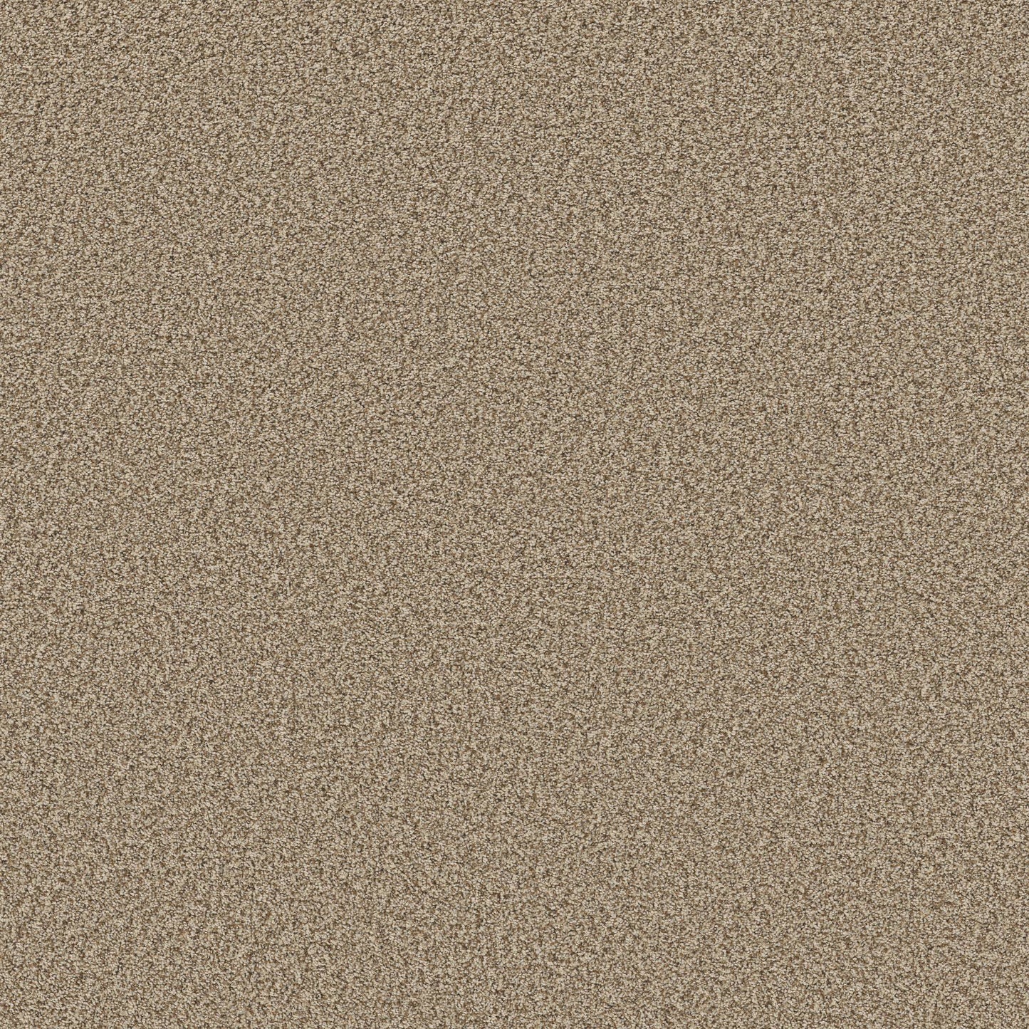 TEXTURE BCF