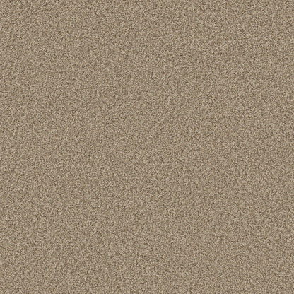TEXTURE BCF