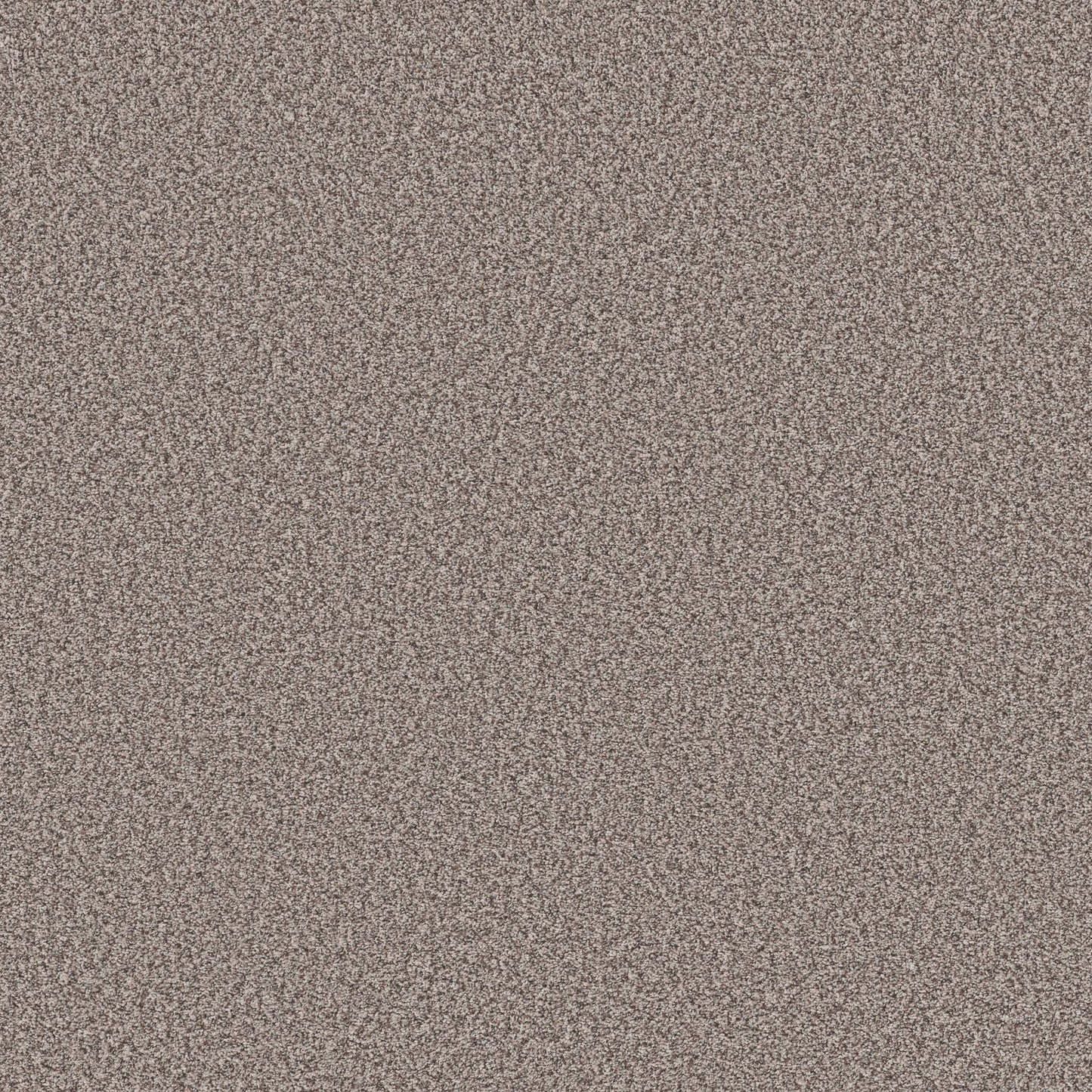 TEXTURE BCF