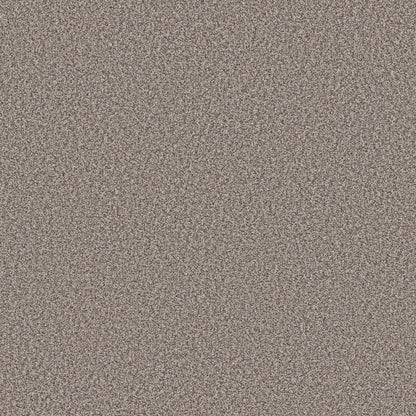 TEXTURE BCF