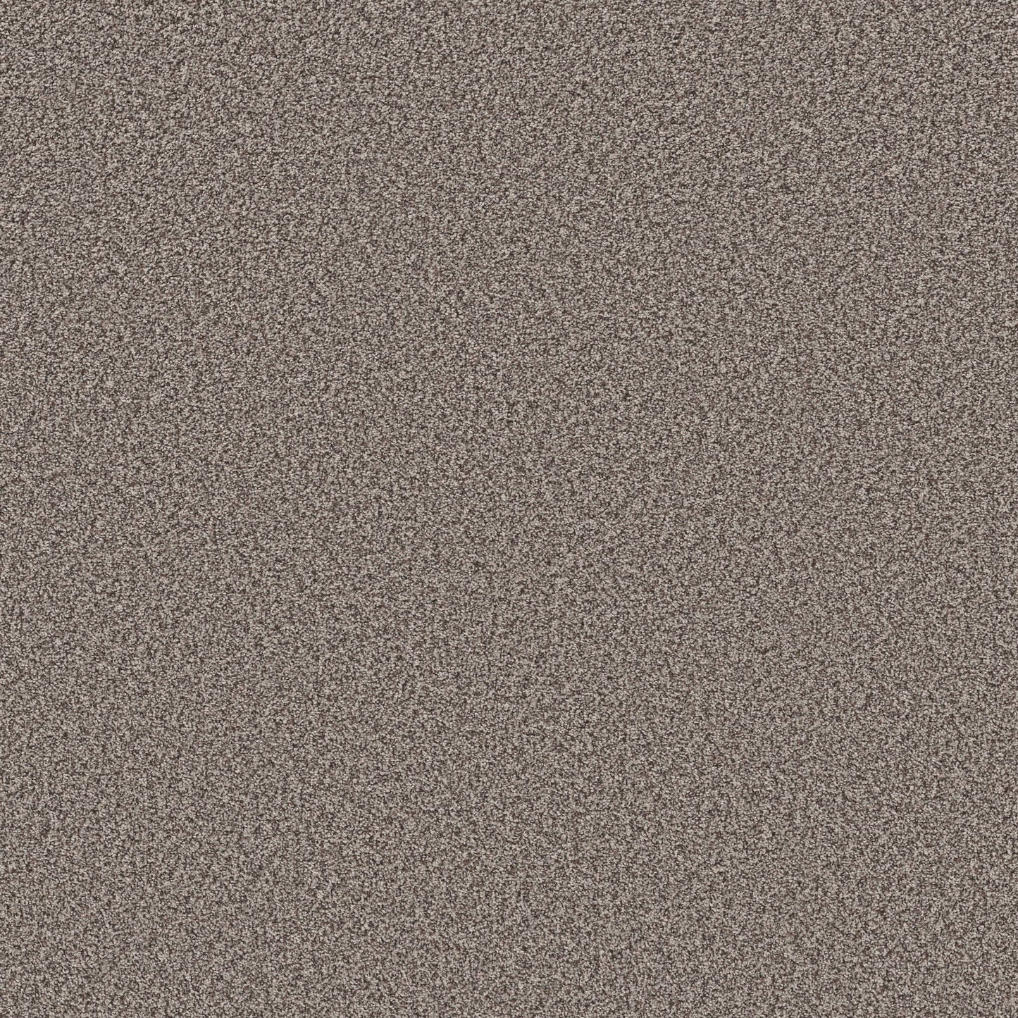 TEXTURE BCF