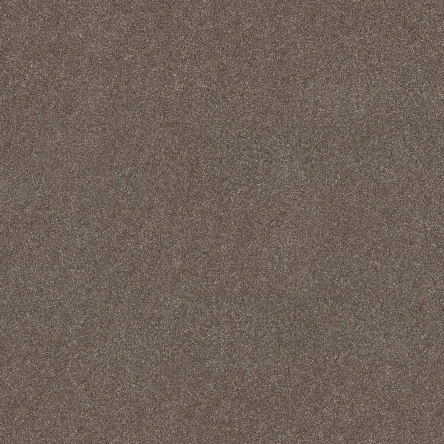 PET BCF