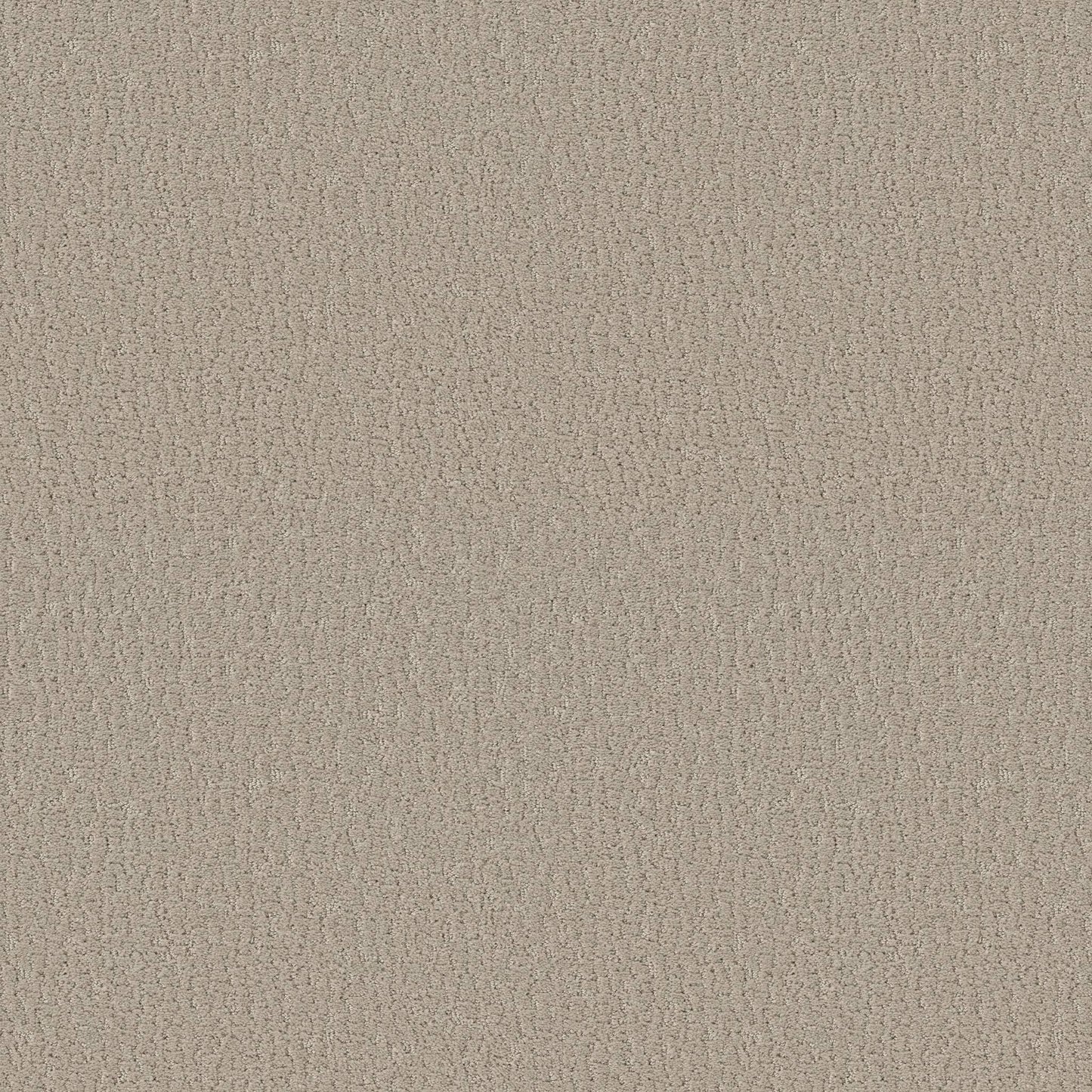CUT UNCUT  R