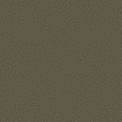 PET BCF