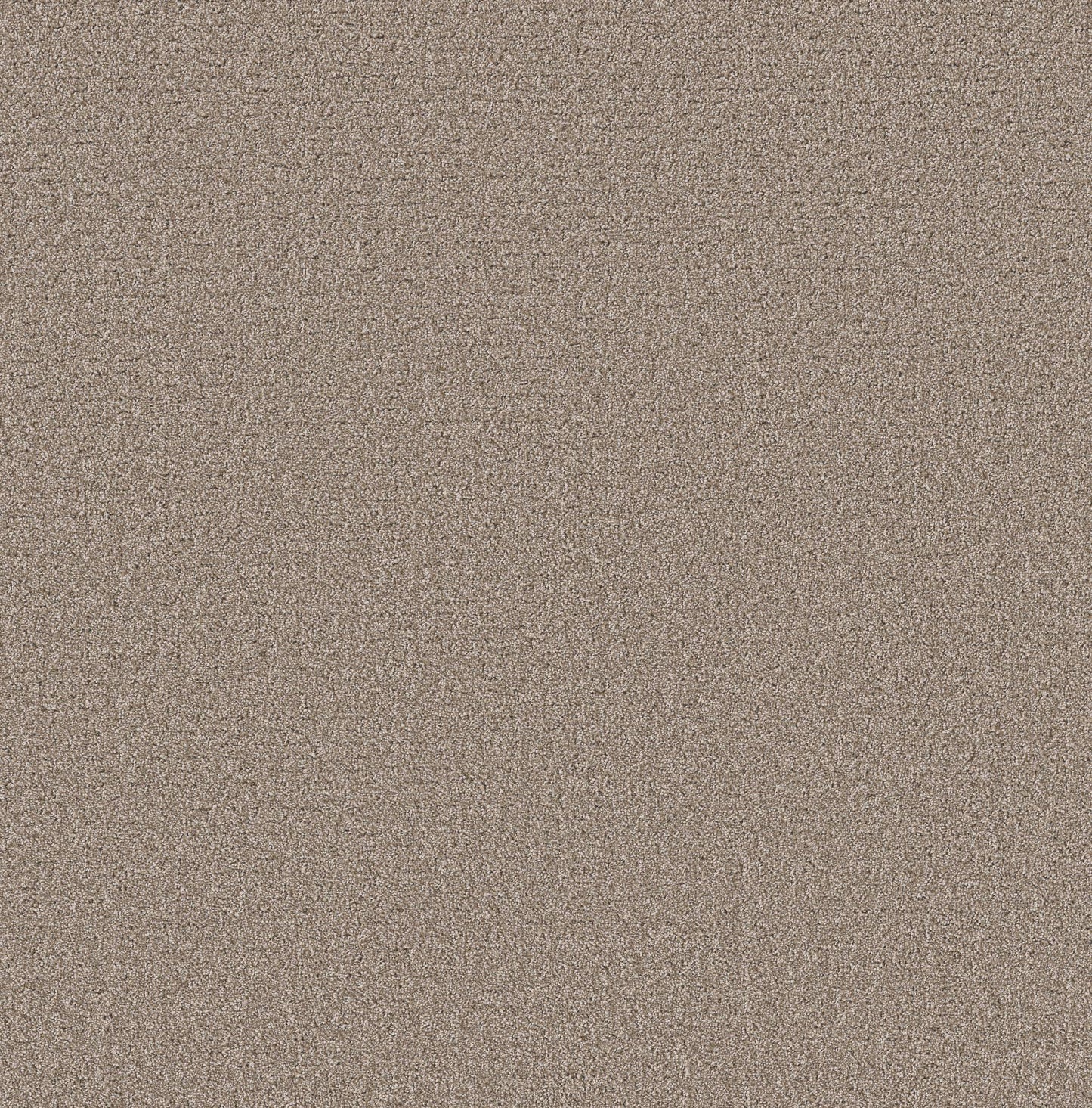 CUT UNCUT  R
