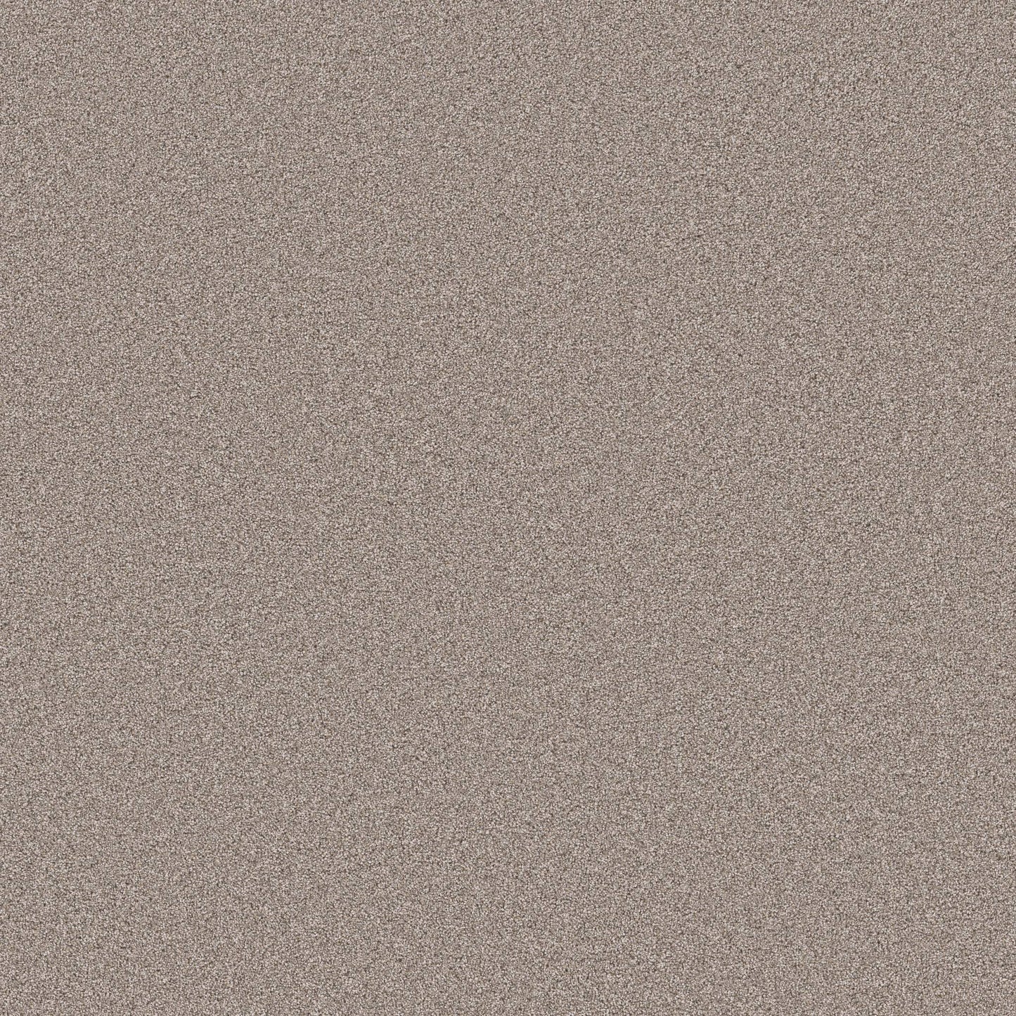 PET BCF