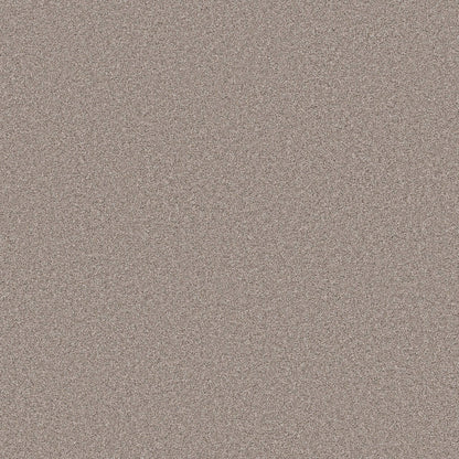 PET BCF