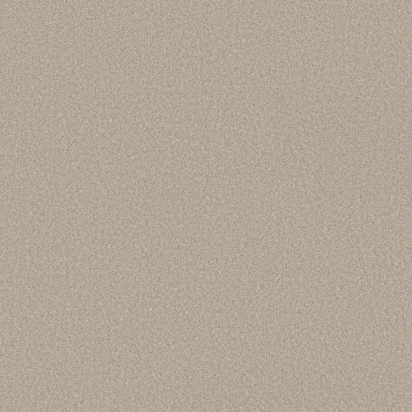 PET BCF
