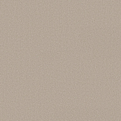 PET BCF