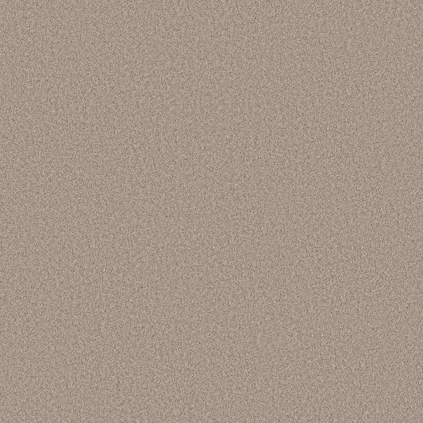 PET BCF