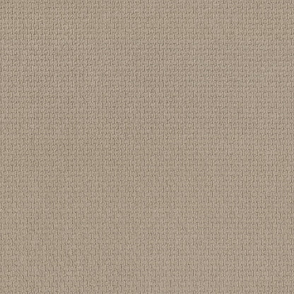 BERBER NYLON LOOP