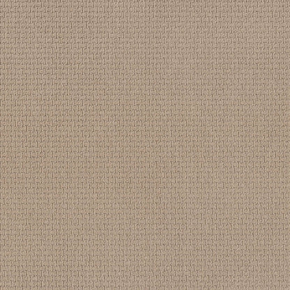 BERBER NYLON LOOP