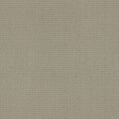 BERBER NYLON LOOP