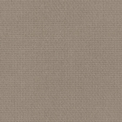 BERBER NYLON LOOP