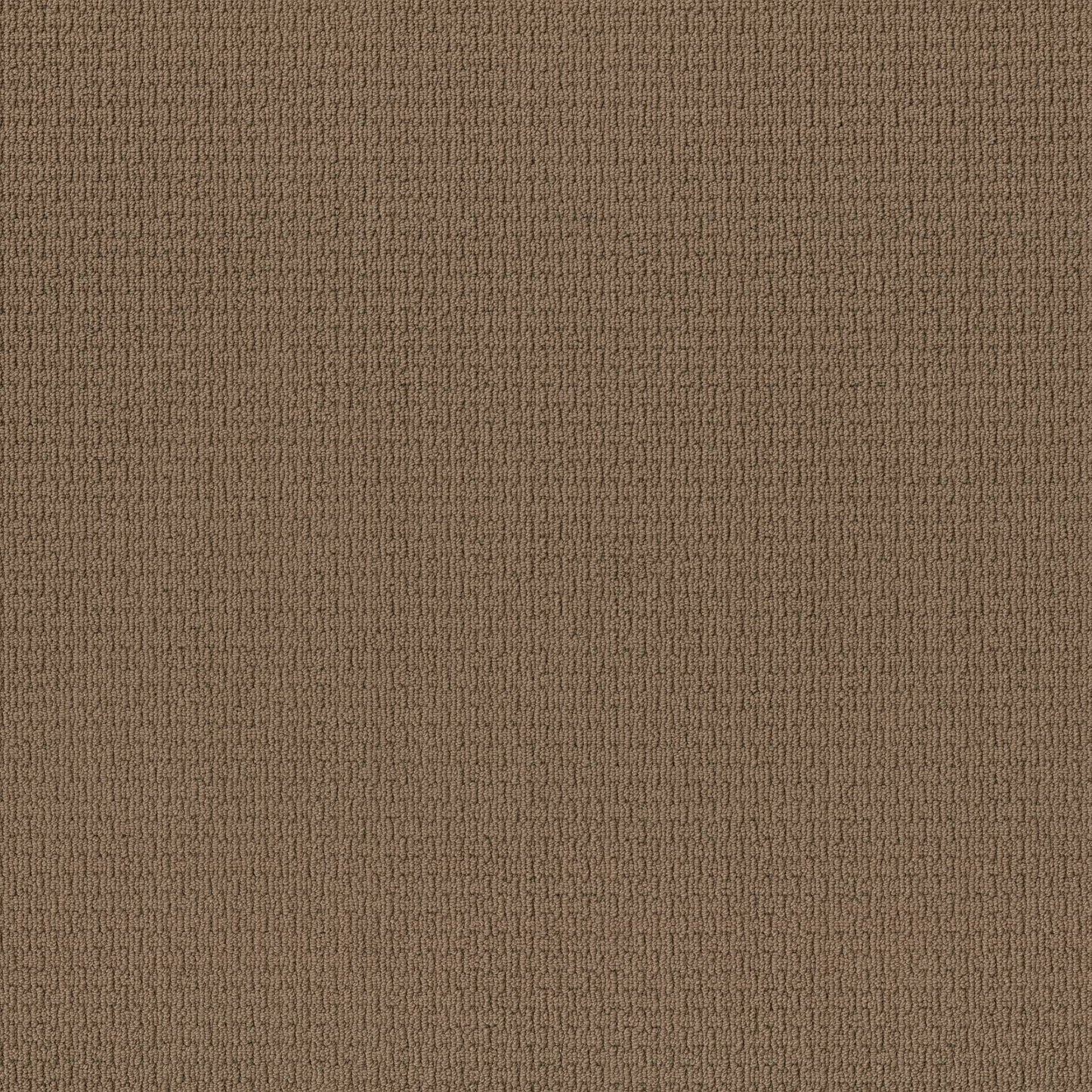 BERBER NYLON LOOP