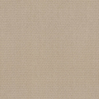 BERBER NYLON LOOP