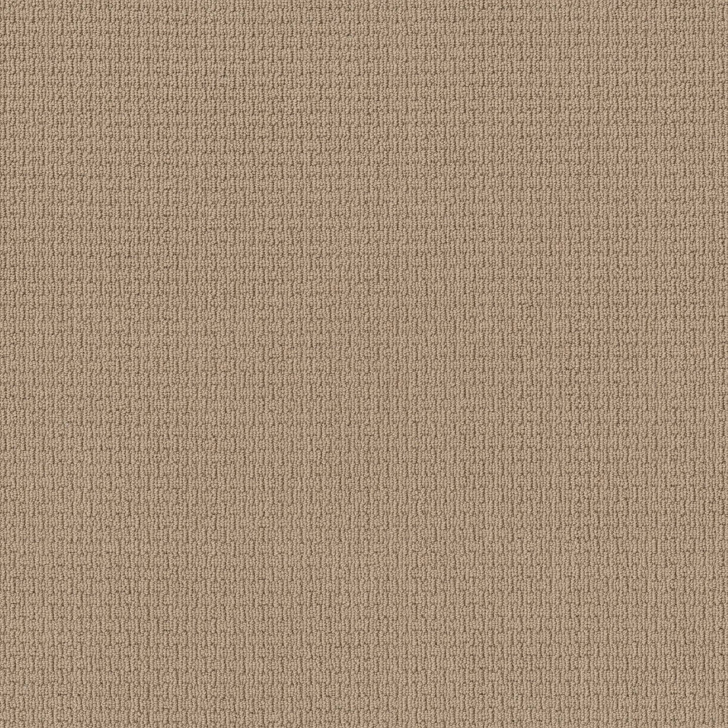 BERBER NYLON LOOP